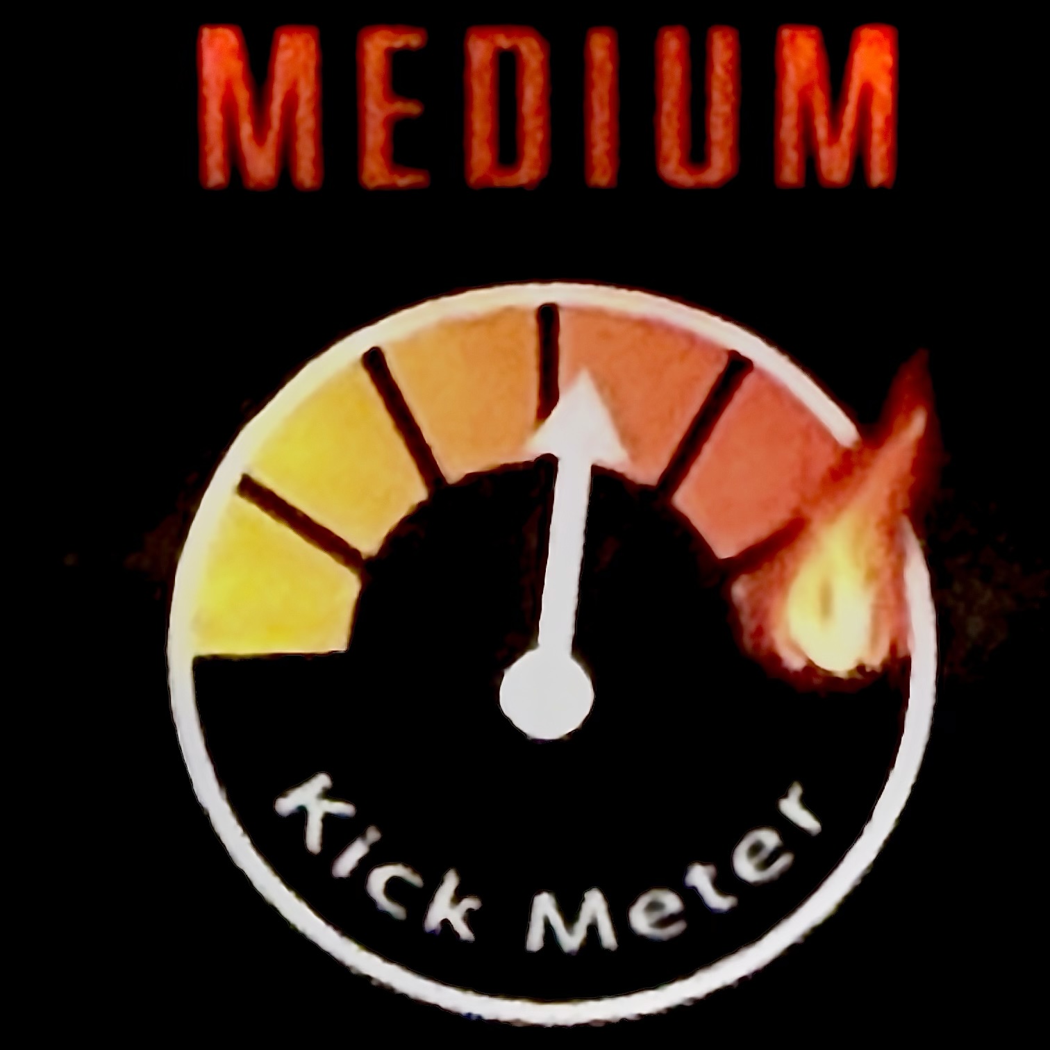 Wendy’s Nuts “Kick in the Nuts” Spicy (MED) Peanuts 1x4oz sack - Image 3