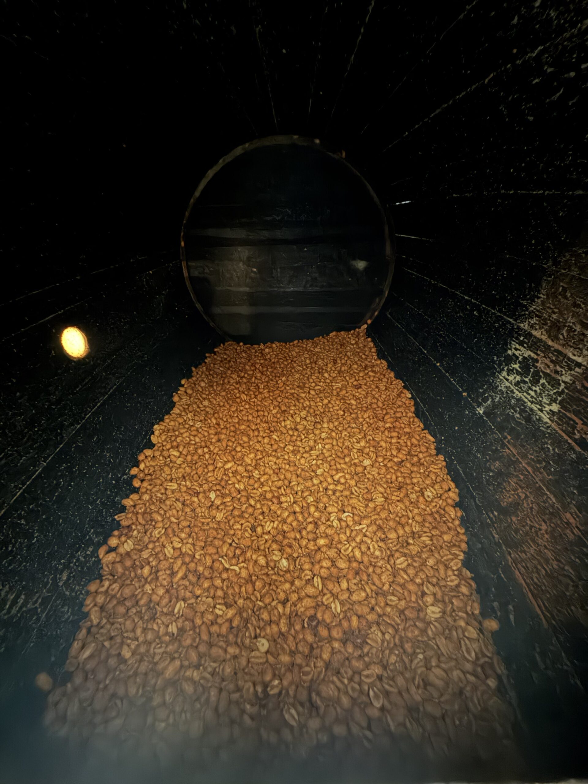 Wendy’s Nuts by the pound! - Image 4